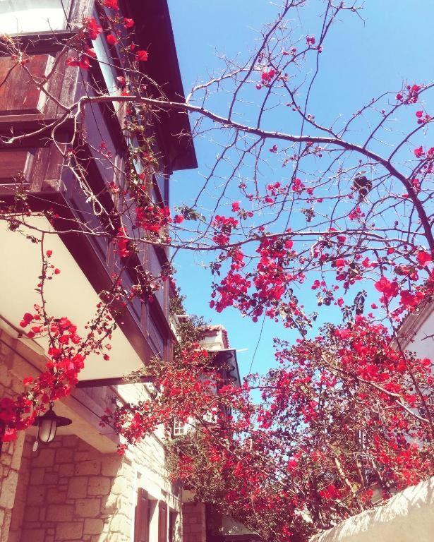 Alayaz Hotel Alacati Exterior foto